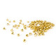 5mm Round Head Punk Spike Studs with 4 Nail Prong - (Pack of 100)
